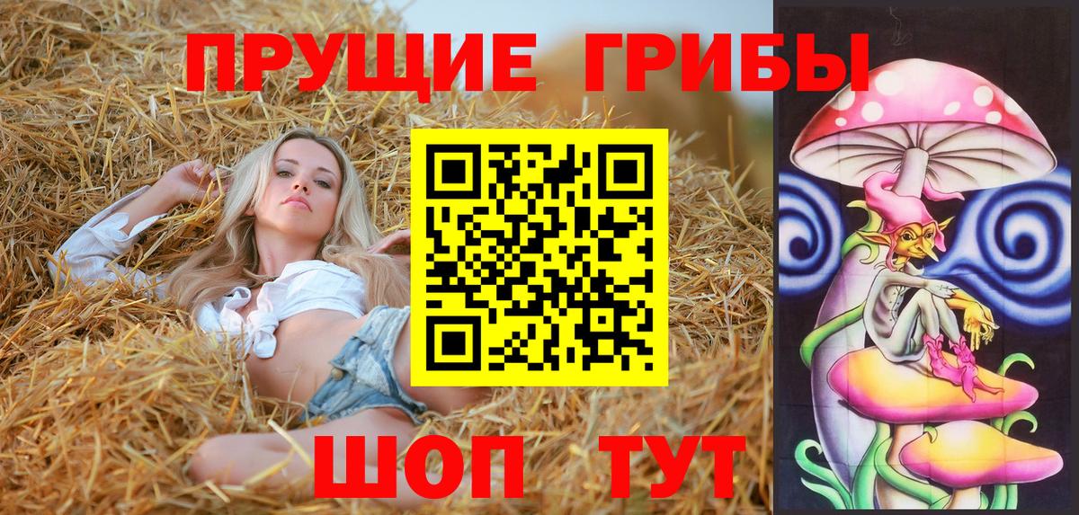 Псилоцибиновые грибы мухоморы Салават